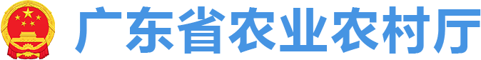 成人网站
