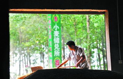 中国每年损失粮食高达700亿斤 隐性浪费不容低估