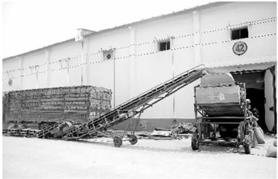 我国每年粮食产后损失超1000亿斤 粮食：向节约要安全